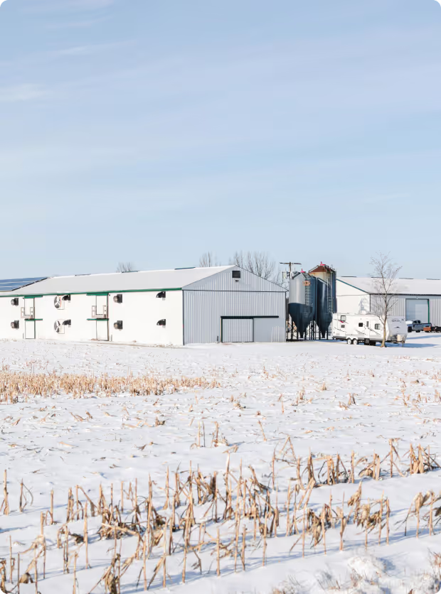 Saskatchewan 4 67603c2334487b73d05af312 6759d38a558cc244bcceae4f Mask20group 8
