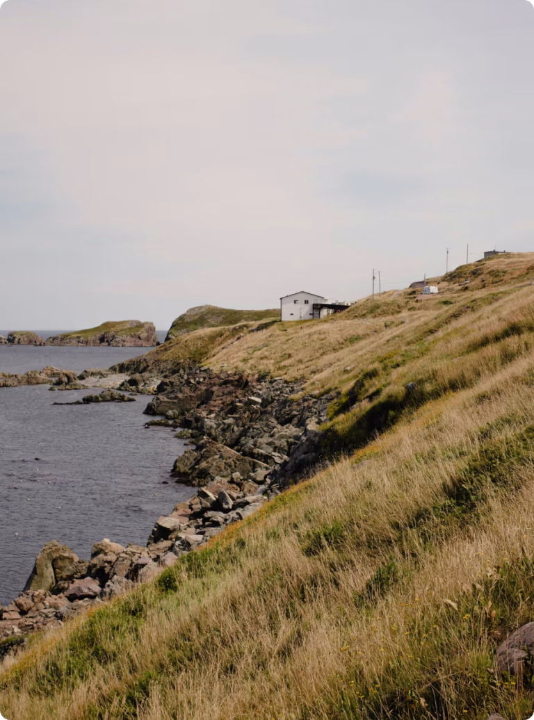 699734325c0c97465aae3131 6969217a90bf038686e755f3 6969206cba0ce75cedab212e portrait province newfoundland 6