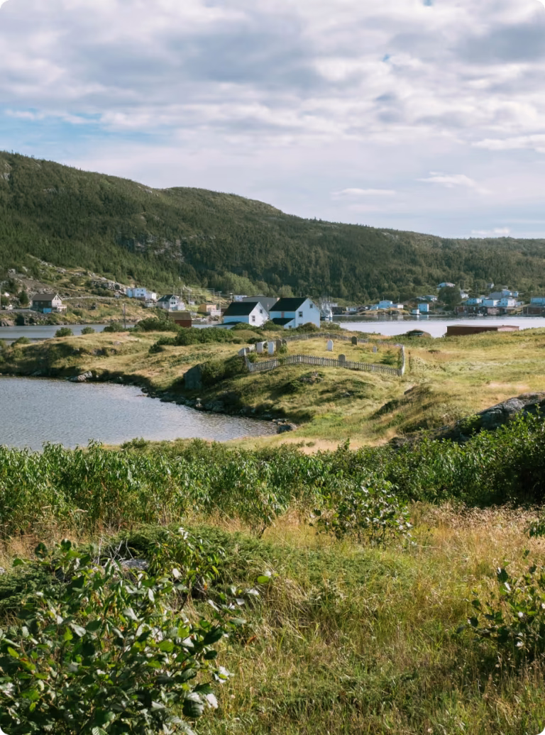 699734325c0c97465aae3134 69692179b4d094c057615a02 6969206c0477a35228ca36c4 portrait province newfoundland 5