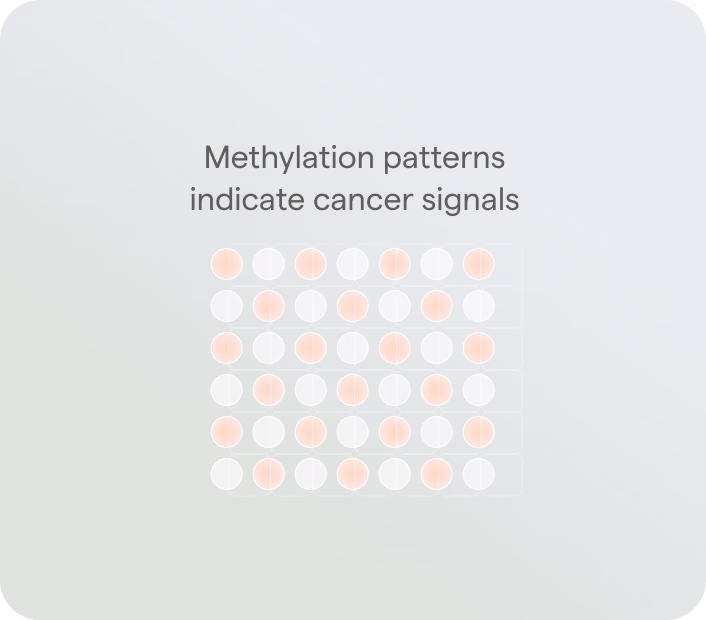Grid of pink and white dots on a grey-green field, labelled Methylation patterns indicate cancer signals